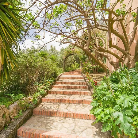 Rosmarino * San Giuseppe Jato